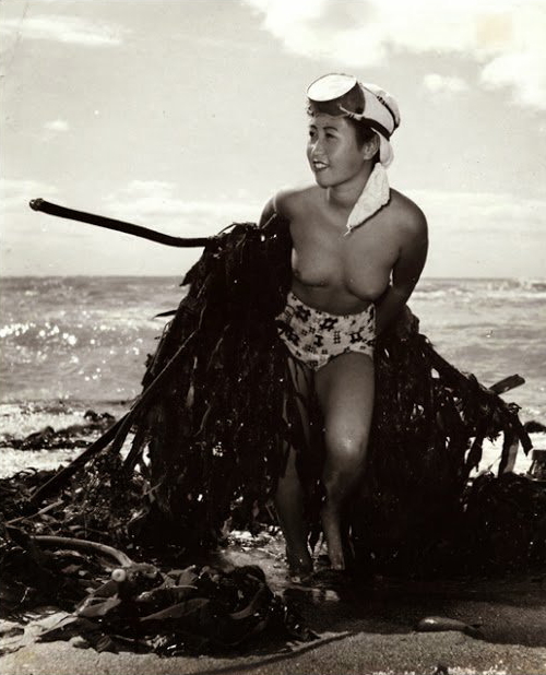 【画像あり】昭和の｢海女さん｣がお仕事してる写真が発見される。マジかぁｗｗｗｗｗｗｗｗｗ・10枚目